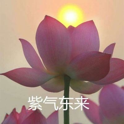 破风裁决手游最新版下载